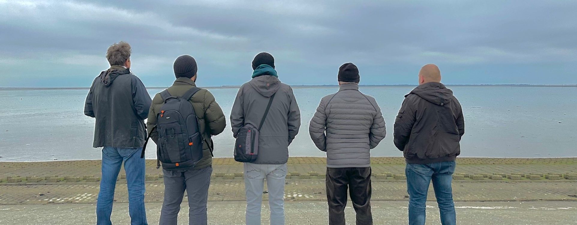 sce-wünscht-frohe-weihnachten